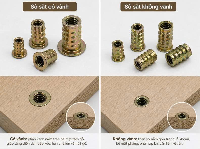 Phong Vy | Ốc cam, tán cấy, sò sắt dùng để làm gì? Ứng dụng và cách chọn Phong Vy | Ốc cam, tán cấy, sò sắt dùng để làm gì? Ứng dụng và cách chọn